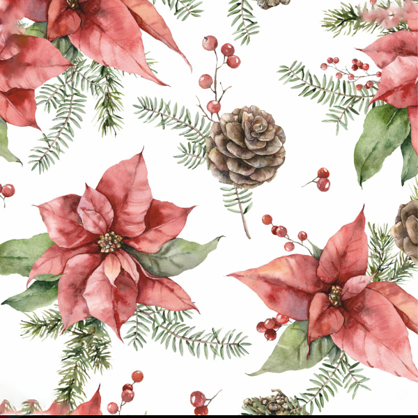 Frumoasă perdea de Crăciun cu motiv de trandafiri de Crăciun 150 x 240 cm