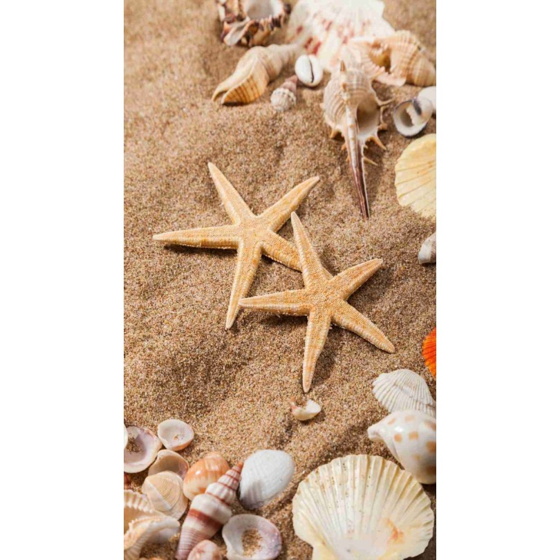 Plážová osuška s motívom morských hviezdic 100 x 180 cm