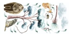 Detská nálepka na stenu zvieratá v prírode 80 x 160 cm  