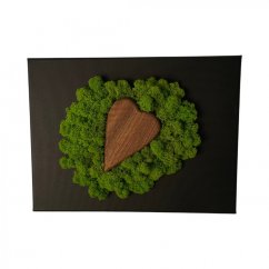 Immagine con cuore di legno e muschio 20 x 30 cm