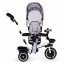 Tricikel, otroški voziček v sivi barvi ECOTOYS