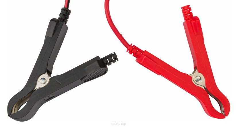 Mikroprozessorgesteuerter 12V-Batteriegleichrichter