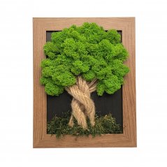 Schöner Moosbaum - dunkelbrauner Rahmen 19 x 24 cm