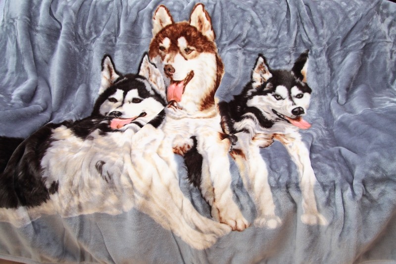 Luxusná akrylová deka sivá s motívom husky