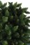 Božićno drvce Himalajski bor 220 cm
