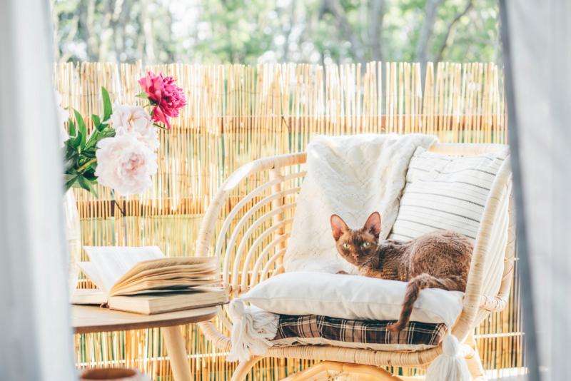 Bambusový plot 200 cm x 500 cm