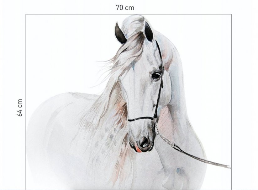 Bellissimo adesivo da parete con cavallo bianco - Misure: 115 x 127 cm