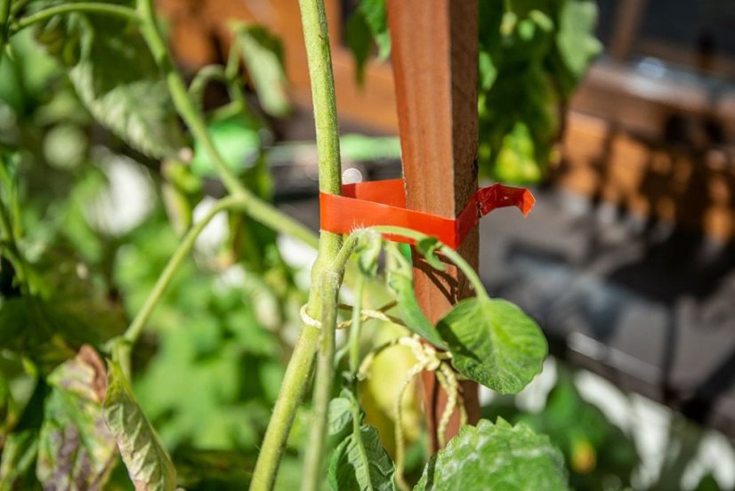 Podpera pre rastliny, sada 25 m pásky + 200 sponky
