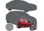 Car tarpaulin gri 572 x 180 x 120 cm