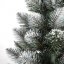 Božično drevo borovec 150 cm