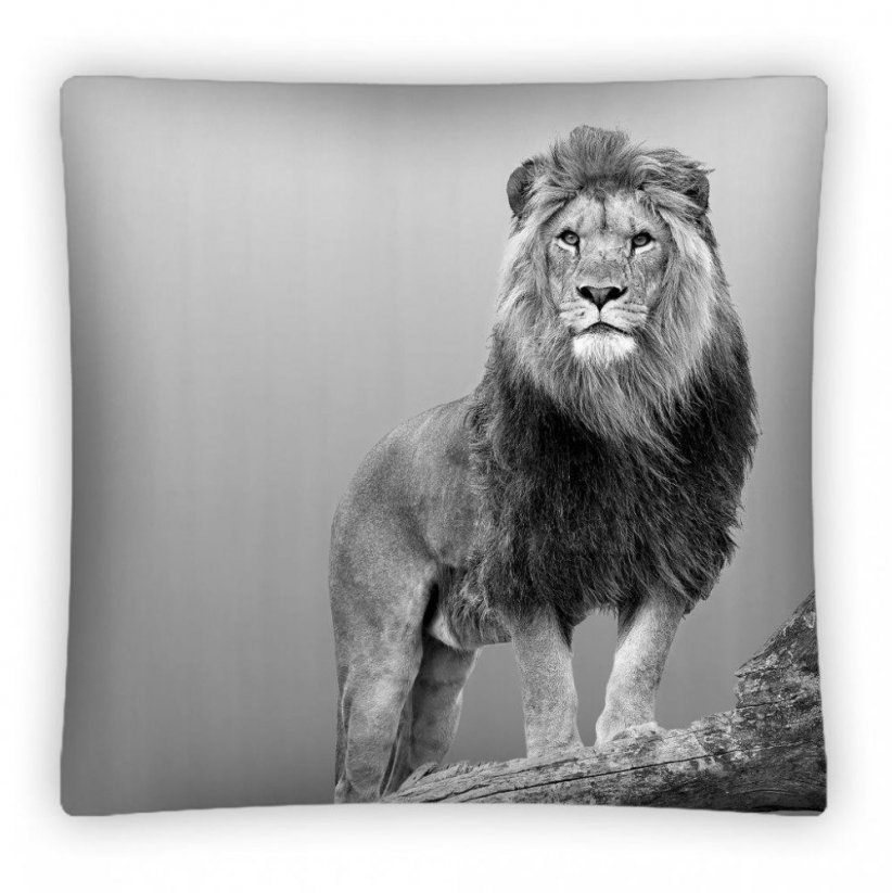 Šedý dětský povlak na polštář se vzorem lva