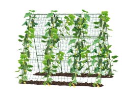 Gartentragwerk mit Gitter 1,8 x 2,7 m