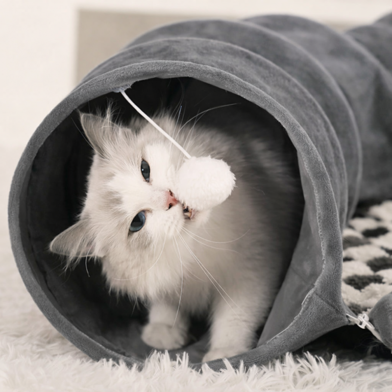 Tunnel per gatti con lettiera
