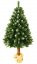 Vánoční borovice na pni s bílými konečky 180 cm