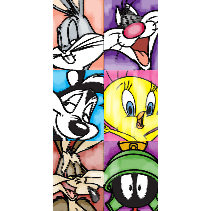 Plážová osuška Looney Tunes - Rozměr: Šířka: 70 cm | Délka: 140 cm