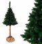 Brad de Crăciun atipic de pin himalayan pe trunchi 220 cm