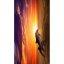 Strandtuch mit Delphin- und Sonnenuntergangsmotiv 100 x 180 cm