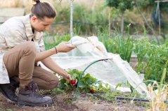 Malý zahradní polytunel 6 x 0,5 m