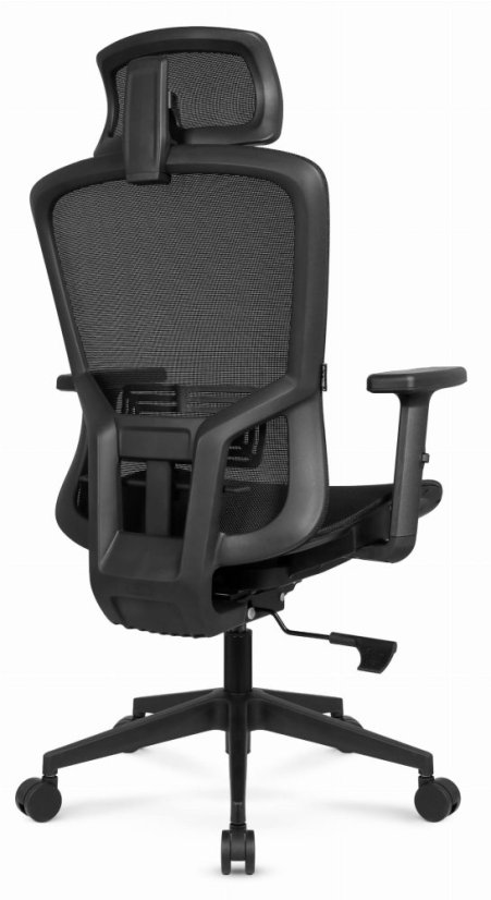 Ergonomski pisarniški stol HC-1045 z mrežastim naslonom - črn