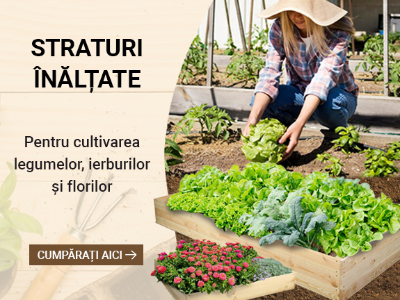 Straturi înălțate