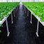 Agrotextília fekete 70g/m 1,6x100m + 100 tűk Agrotextília fekete 70g/m 1,6x100m + 100 tűk