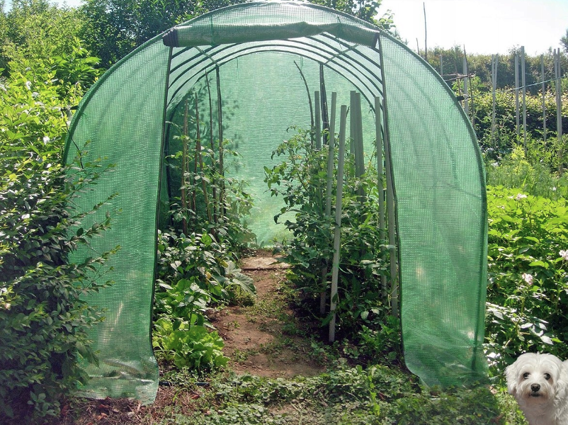 Kvalitetan vrtni politunel 2,5 x 5 m