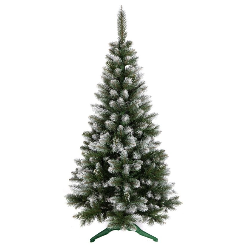 Vianočný stromček borovica 180 cm