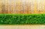Paravan od bambusa 150 cm x 500 cm