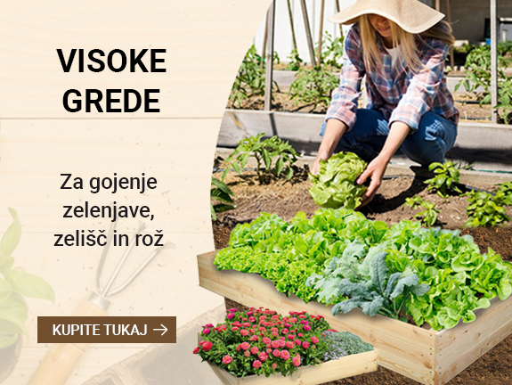 Dvignjene grede