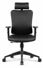 Ergonomischer Bürostuhl HC-1041 - schwarz, mit verstellbarer Kopfstütze und Lendenwirbelstütze