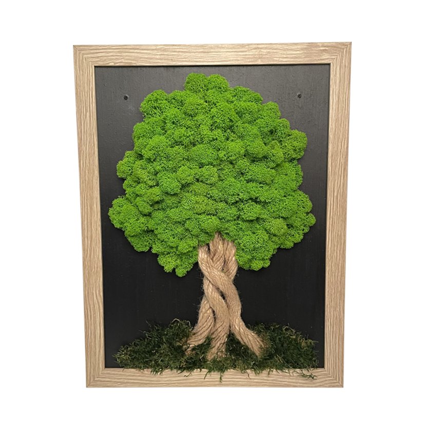 Slika iz mahu v svetlo rjavem okvirju 34 x 44 cm