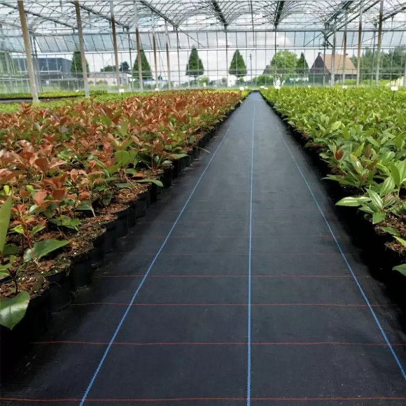 Agrotextília čierna 90g/m 1,6x10m