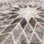 Бежов килим с естествени мотиви в модерен дизайн - Размерът на килима: Ширина: 120 см | Дължина: 170 см