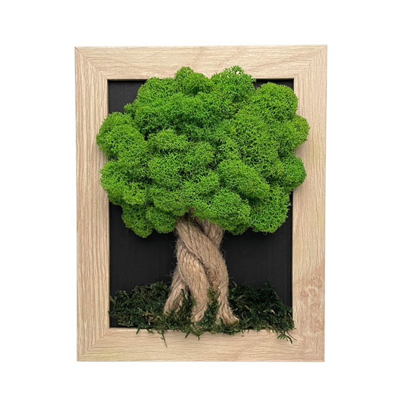 Slika iz mahu v rjavem okvirju 19 x 24 cm