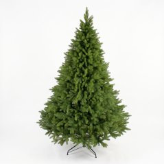 Hustý vianočný stromček – smrek kaukazský, 230 cm