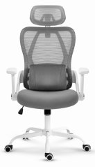 CABRO C507 scaun ergonomic cu suport lombar și pentru cap reglabil, gri
