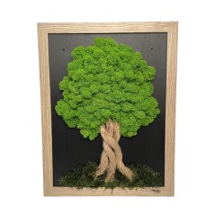 Moosbild in hellbraunem Rahmen 34 x 44 cm