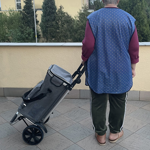 Großer Einkaufswagen 40 l - klappbar, mit verstellbarem Griff
