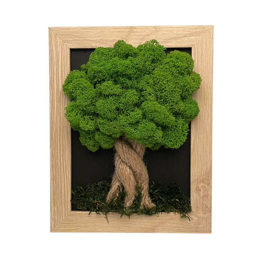 Slika iz mahu v rjavem okvirju 19 x 24 cm
