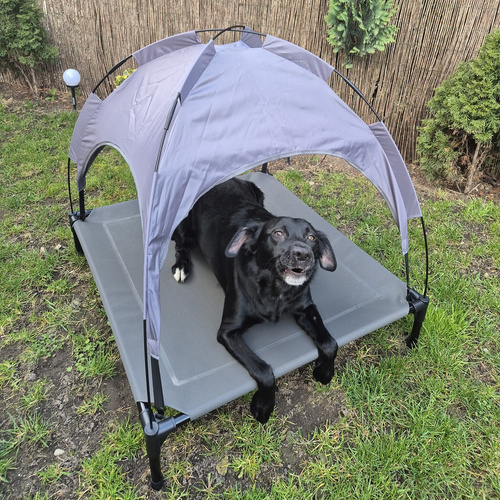 Fedett emelt kutyaágy XXL