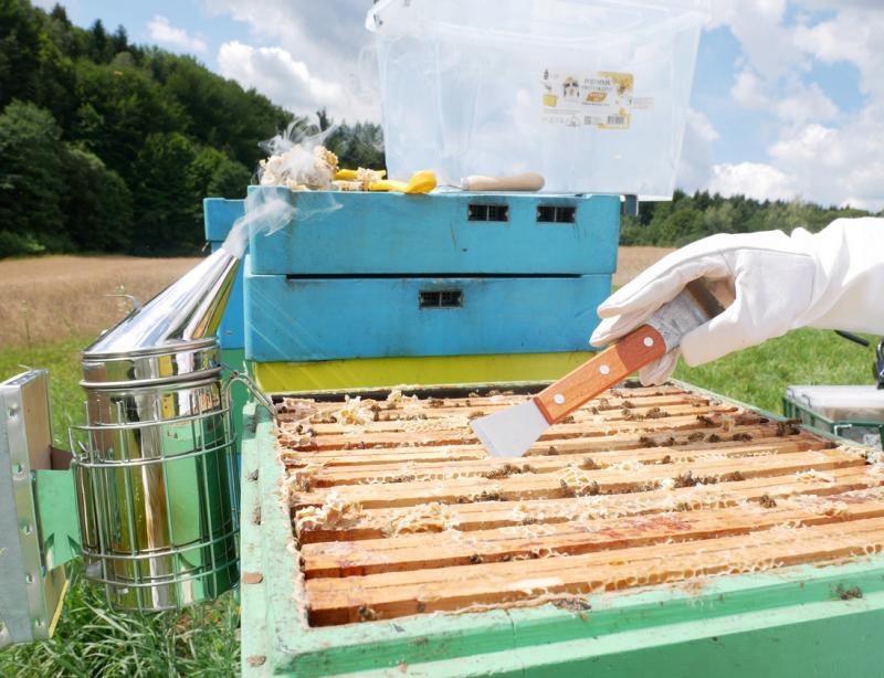 Пчеларско длето от неръждаема стомана 20 см