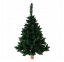 Atypischer Himalaya-Kiefer-Weihnachtsbaum auf einem Stamm 220 cm