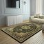 Luxuriöser grüner Teppich - Die Größe des Teppichs: Breite: 300 cm | Länge: 400 cm