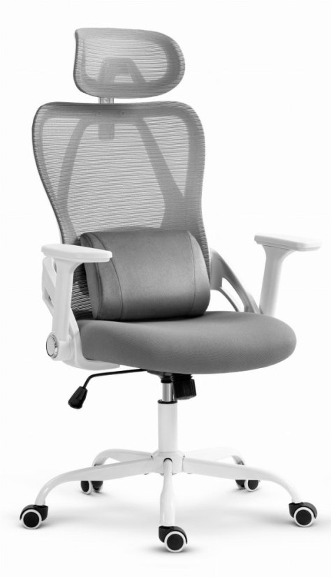 CABRO C507 scaun ergonomic cu suport lombar și pentru cap reglabil, gri