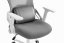 CABRO C507 scaun ergonomic cu suport lombar și pentru cap reglabil, gri