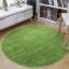 Kulatý koberec zelené barvy - Rozměr koberce: Šířka: 160 cm | Délka: 160 cm