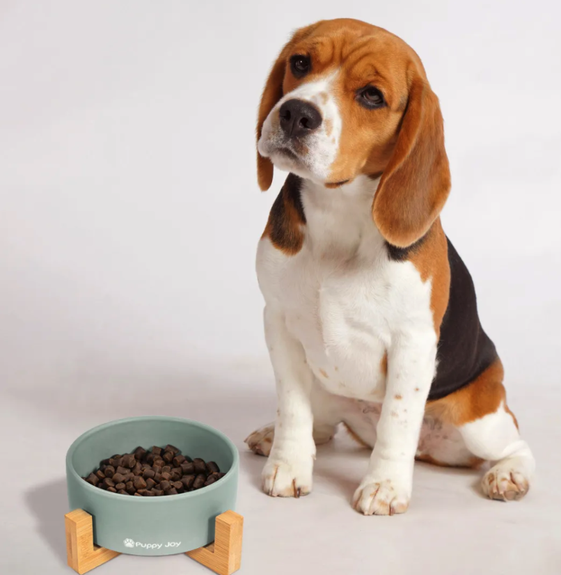 Keramiknapf für Hunde und Katzen mit Bambusboden – mehrere Farben