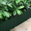Bordo per aiuola 600 x 10 cm - verde