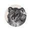 Elegante tappeto grigio rotondo con un adorabile leone