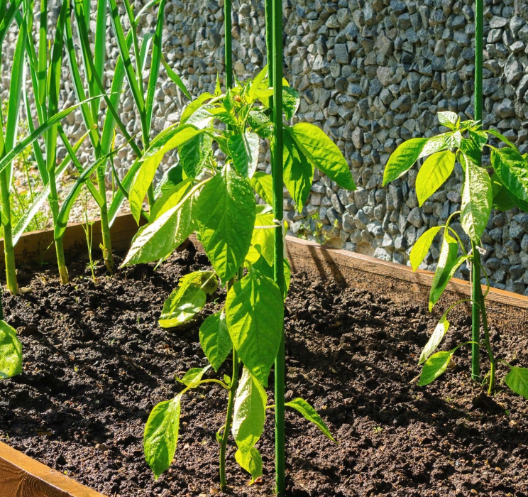 Vrtni rastlinjak 2 mx 3 m